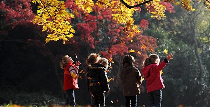 800_Herbst_kinder_dpa.jpg